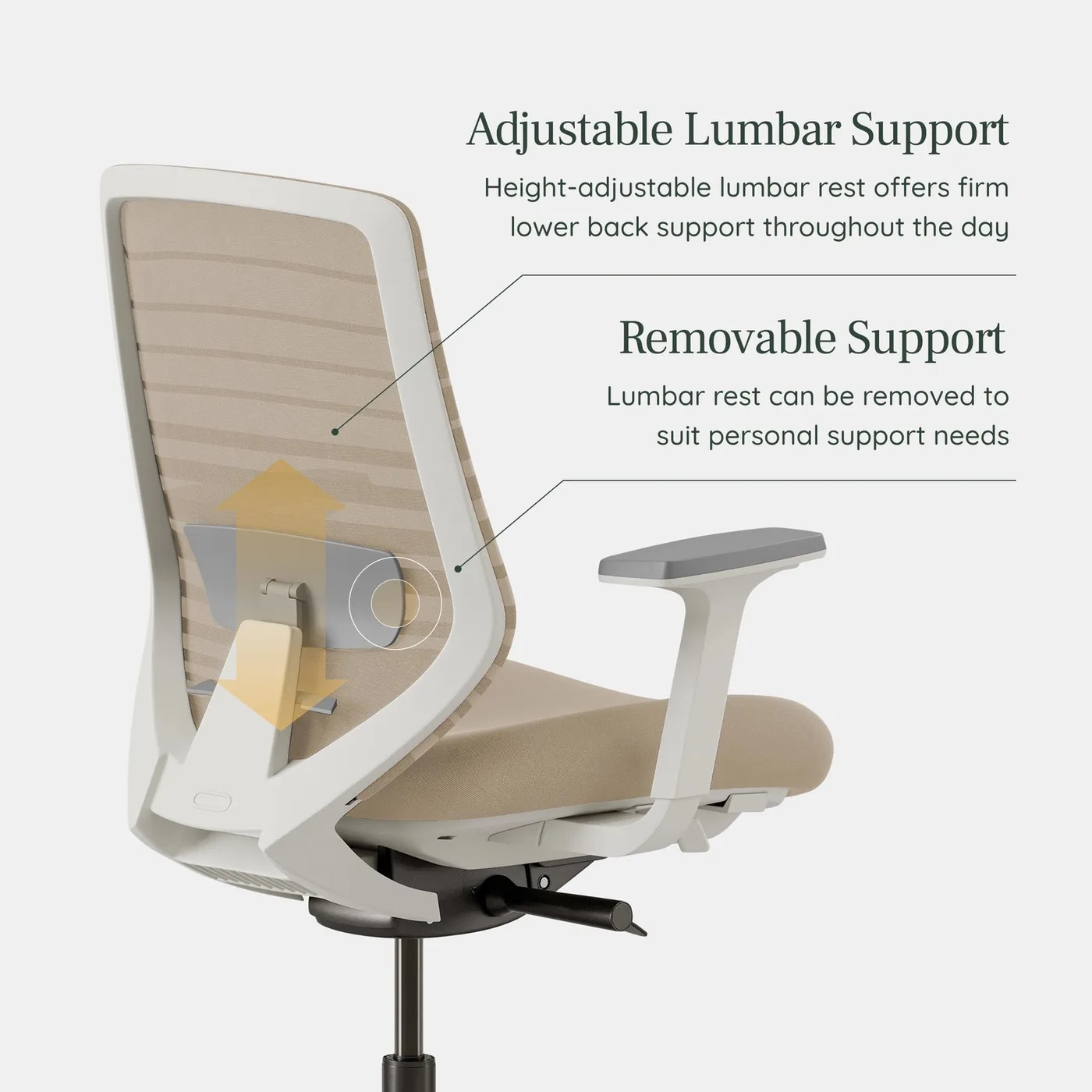Branch's product image of the Ergonomic Chair showing the adjustable lumbar rest